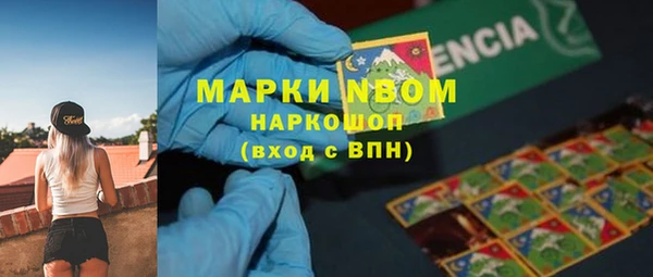 молекула духа Алексеевка