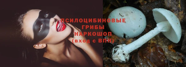 молекула духа Алексеевка