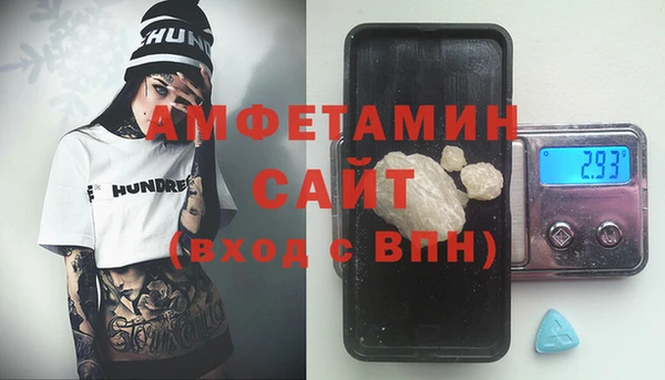 прущие грибы Абаза