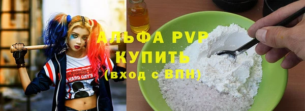 прущие грибы Абаза
