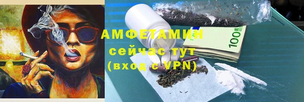 прущие грибы Абаза